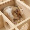 Exploration Hamster Tunnel Maze Wooden Pet Interactive Toy Guinea Pig Puzzle Toy  Exercise