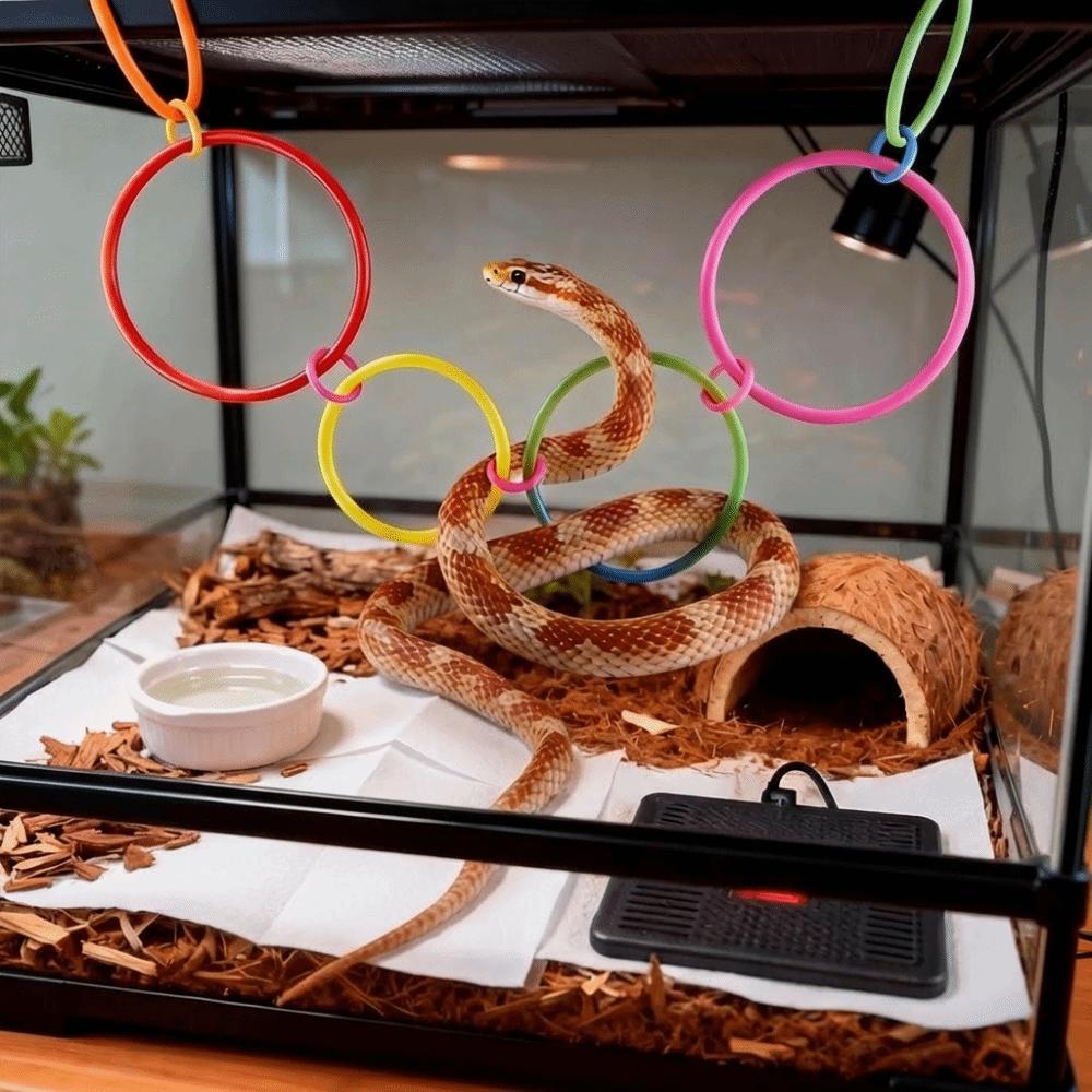 Suction Cup Reptile Hammock Stability Reptile Habitat Rings Swing Perch Hanging Bed with Rope Snake Enrichment Geckos