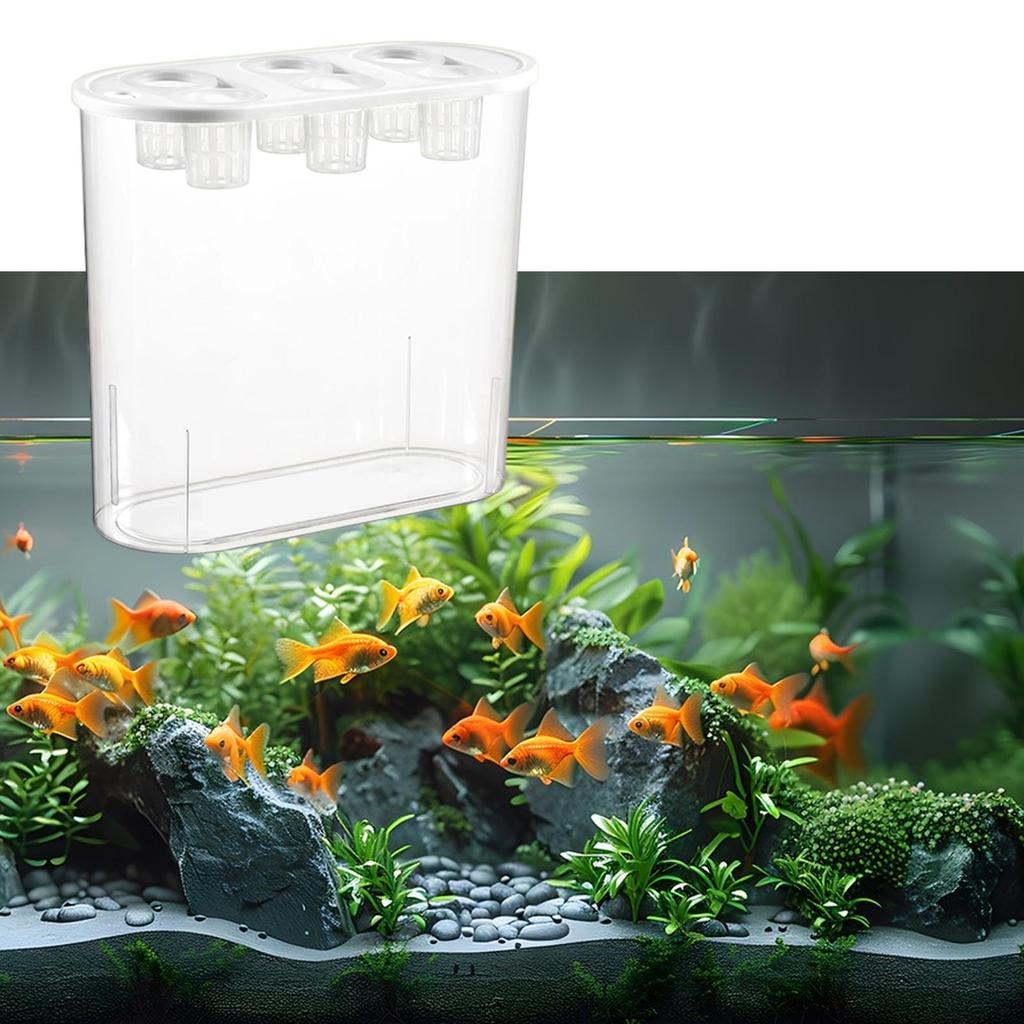 Grower Box, Hydroponics Tool, 6 Holes, Powerful, Practical Rectangular Planting Container for Indoor