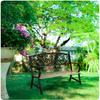 Garden Bench With Backrest 122 X 88.5 X 55.5 Cm Ivy Sofa