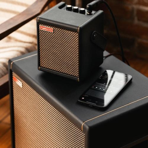 Positive Grid Spark CAB Powered Guitar Amplifier Speaker Cabinet with AUX Cable, Spark Series Modeler, and Instrument Compatible