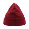Atlantis Blog Waffle Beanie