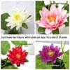 Artificial Silk Lotus Flower Ornament for Buddha Altar - Decorative Bonsai Guanyin Flower