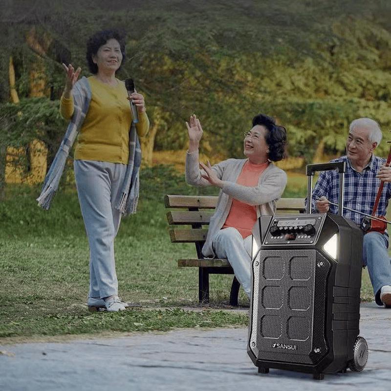 SANSUI D08pro High-Power Portable Speaker (CN version)