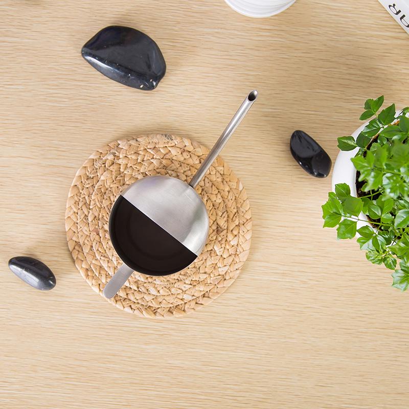 300ML Stainless Steel Watering Can with Long Spout for Plants and Succulents - Ideal for Kids and Mini Gardens