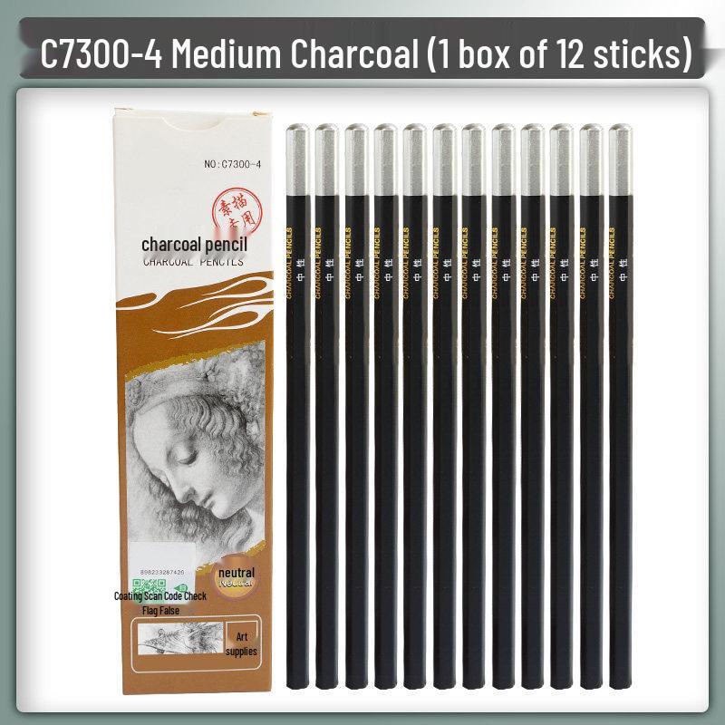 Extra Soft 2bHB Sketching & Charcoal Pen Set: Beginner Drawing & Exam Use, Includes 2h, 4b, 6b, 8b Brushes