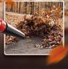 Delixi High-Power Rechargeable Leaf Blower & Industrial Hair Dryer