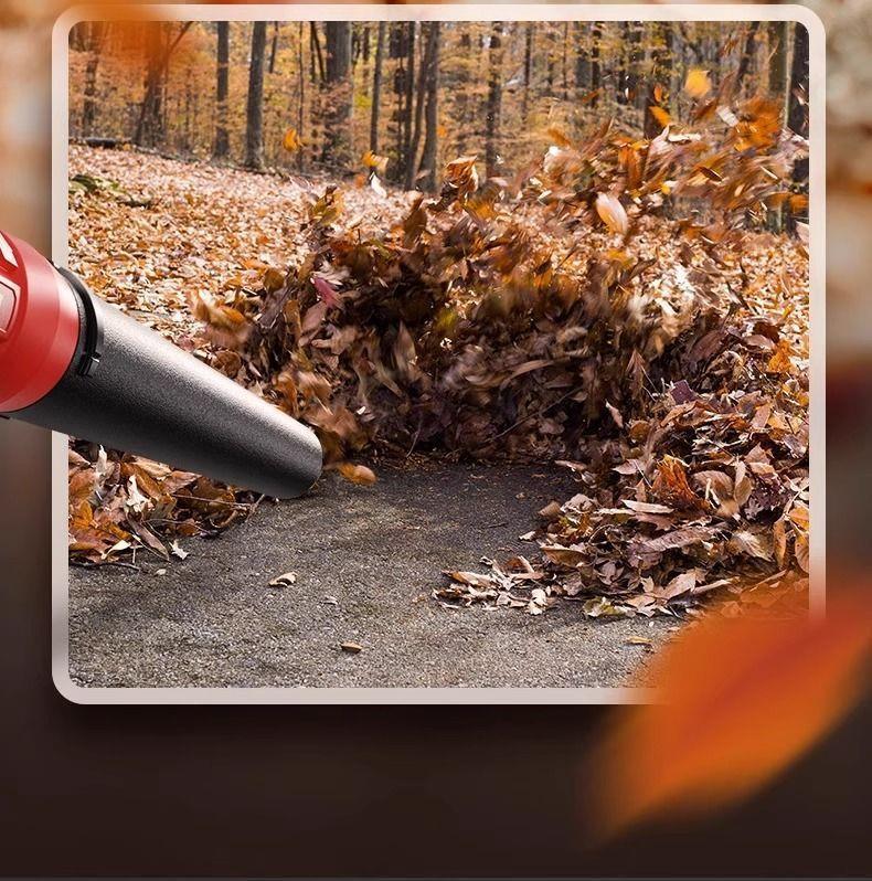 Delixi High-Power Rechargeable Leaf Blower & Industrial Hair Dryer