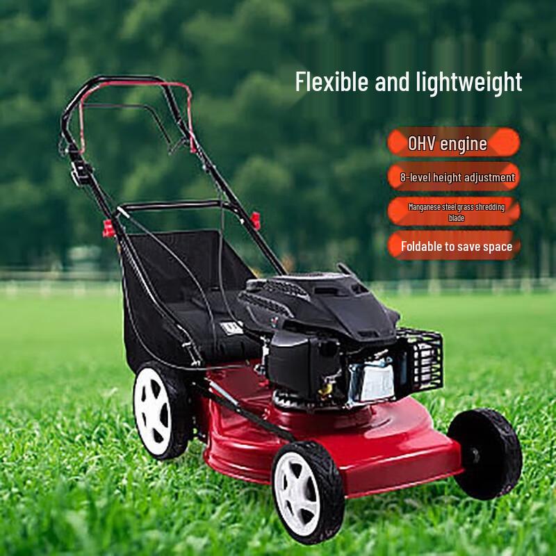 Longlida Self-Propelled Lawn Mower CN plug (adapter included)
