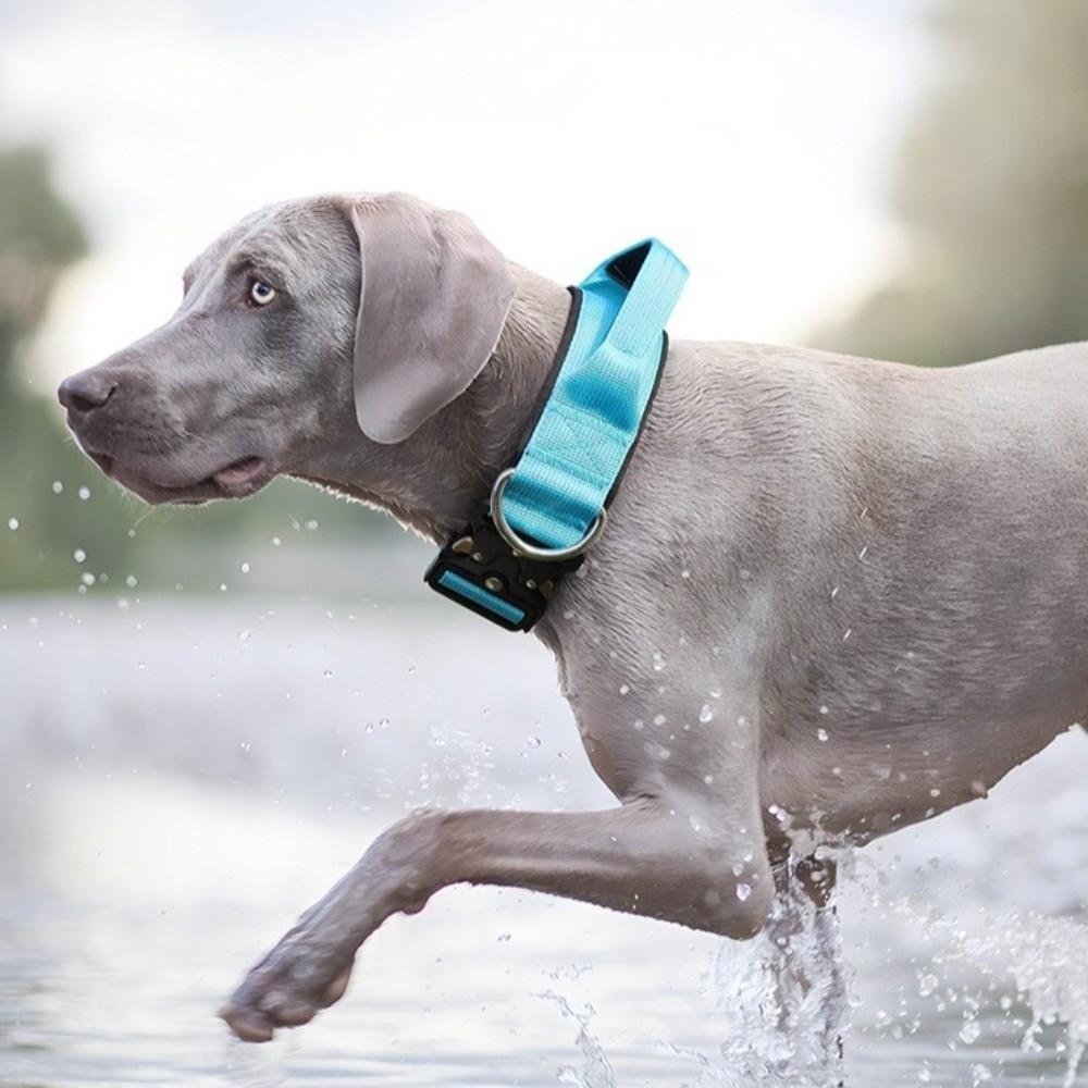 Adjustable Training Harness Pull-Resistant Pet Collar Durable Dog Collar Medium Dogs