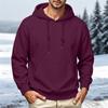 Herren Pullover Hoodie mit Farbe Vielseitig Lässig Alltagsbekleidung