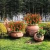8 Bundles Outdoor Artificial Flowers UV Resistant Boxwood For Indoor Outside Garden Home Decor