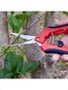 1 Set, Garden Scissors, Garden Pruning Shears, Non-slip Labor-saving Flower Branch Branch Shears, Fruit And Vegetable Shears, Fr