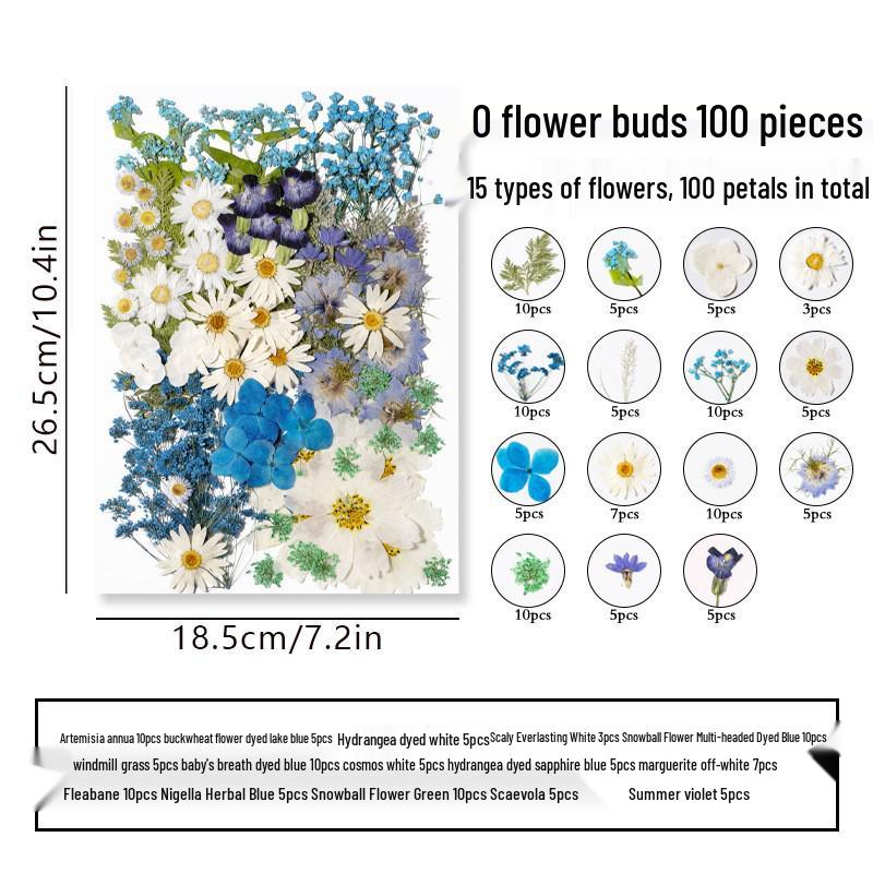 DIY Dried Flower Specimen Sticker Set for Kids: Handmade Pressed Flower Frames & Resin Bookmark Craft Kit