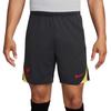 Nike Unisex Adult Strike Liverpool FC Football Shorts
