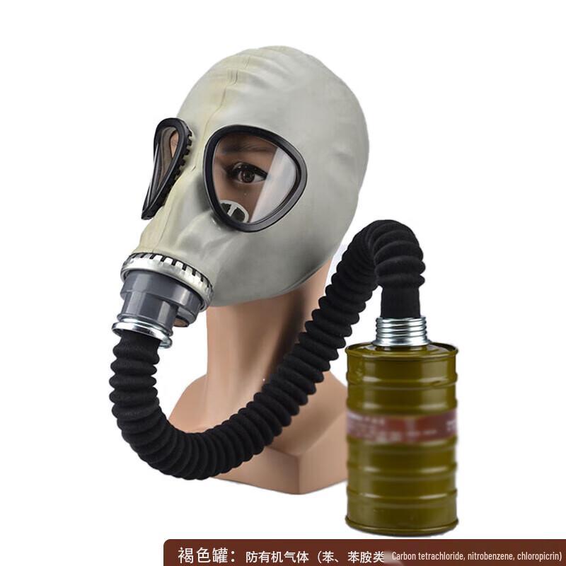 Eagle Beak Dragon Gas Mask with 0.5m Tube and P-A-3 Filter YFHSB49