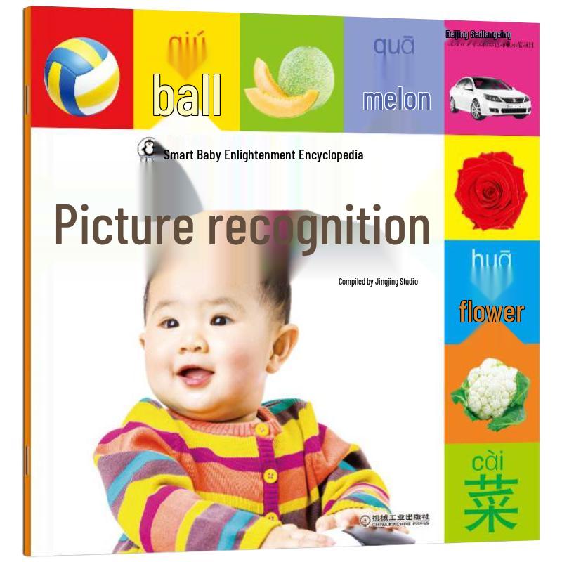 Smart Baby Early Learning Literacy Book