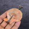 Orange Sea Shell Gemstone Handmade Copper Wire Wrap Jewelry Pendant 3.07" K9h25