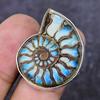 Natural Ammonite Fossil Gemstone 925 Sterling Silver Jewelry Ring Size 6.5 G7k53