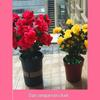 Outdoor Artificial Azalea Bonsai Set - Small Potted Plant for Flower Bed or Corridor Display