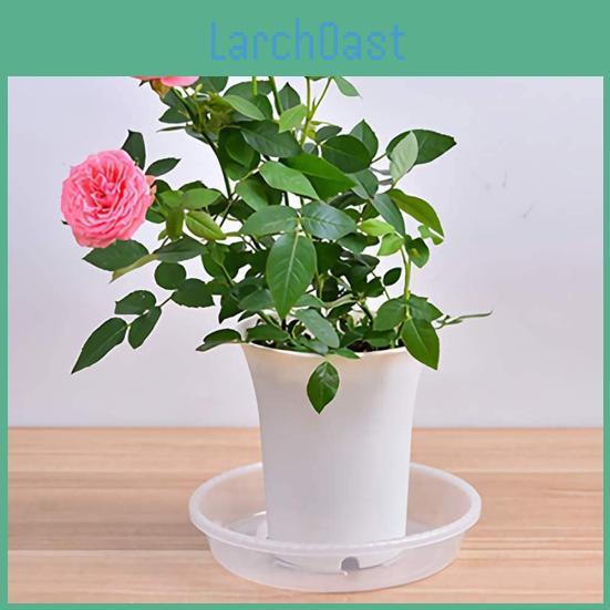 Garden 10pcs Plastic Family Flower Pot Drip Trays Clear Round Shape Creative Saucers Decor