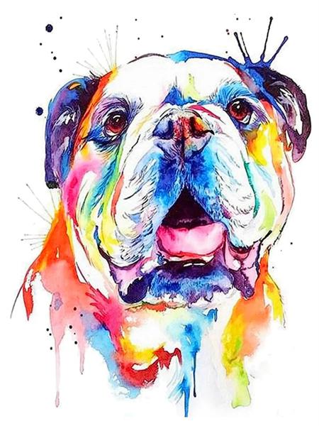 

Полный квадратный круглый комплект для алмазной живописи Собака красочный домашний декор Алмазная мозаика животное ручная работа настенное искусство Full Round 20x30CM