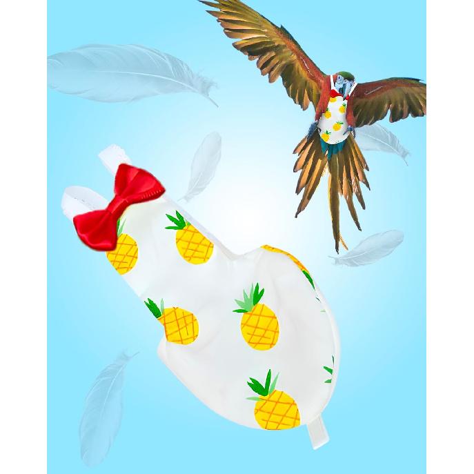 UKJENT Bird Diaper Protective Parrot Nappy - 2 Pack, Reble Flight Suit with Waterproof Inner Layer, Washable Cute Urine Wet Suit for Cockatiel Monk