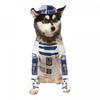 Costum de Câine R2-D2