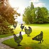 Chicken Yard Art Rooster Hen Silhouette Yards Stake Handheld Animal Toys Decorations Hollow Lifelike Hen Ornament Lawn Floor