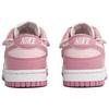 Nike Dunk LTDZ Pink Mist Adventure, Bolsa de Compras Antideslizante Resistente al Desgaste Zapatillas de Skate de Caña Baja para Mujer Rosa DD1873-112(Equipo113-S-BOX)