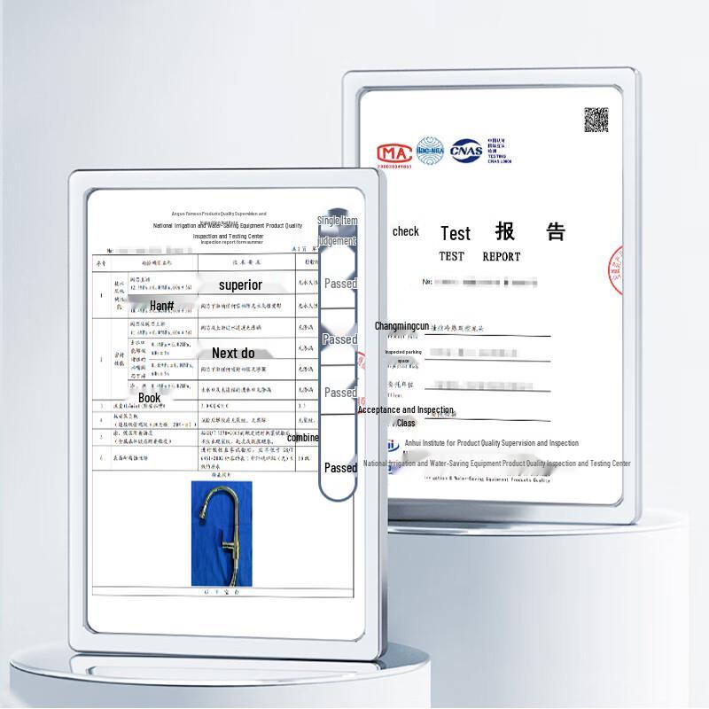 Kitchen Faucet with Pull-Out Sprayer