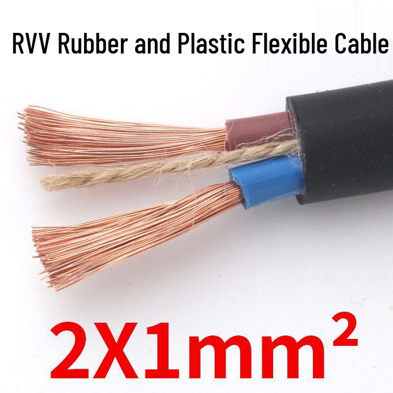 2.5mm Pure Copper Two-Core Flexible Household Extension Cable
