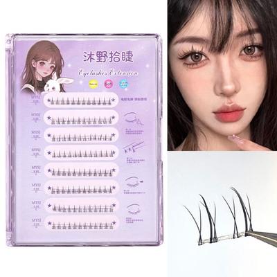 Extensiones de pestañas