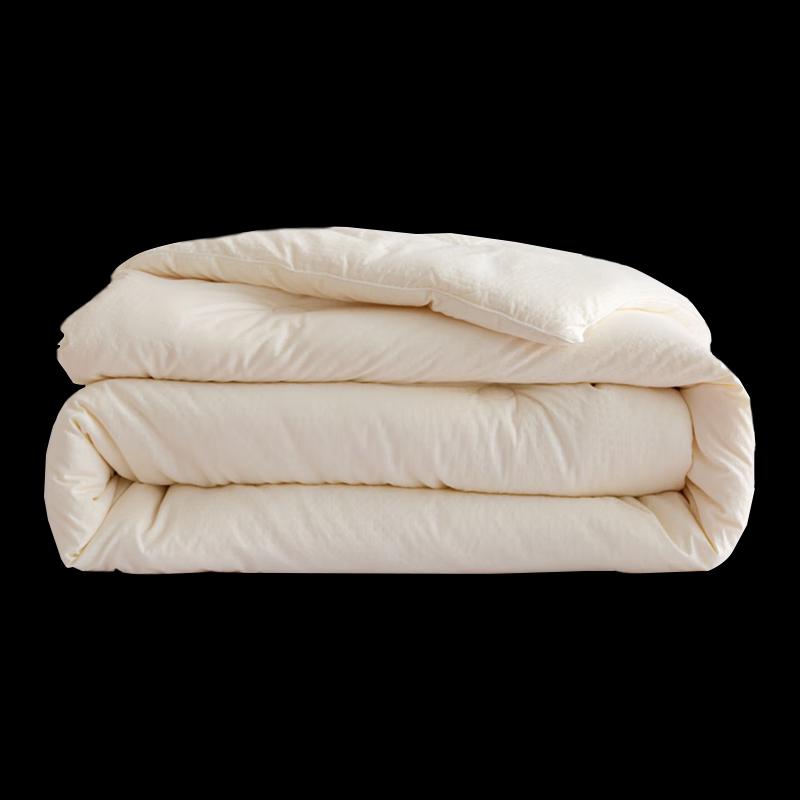 Southbedding Ultra-Soft All-Season Quilt