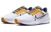 Nike Pegasus 40 West Virginia DZ6005-100