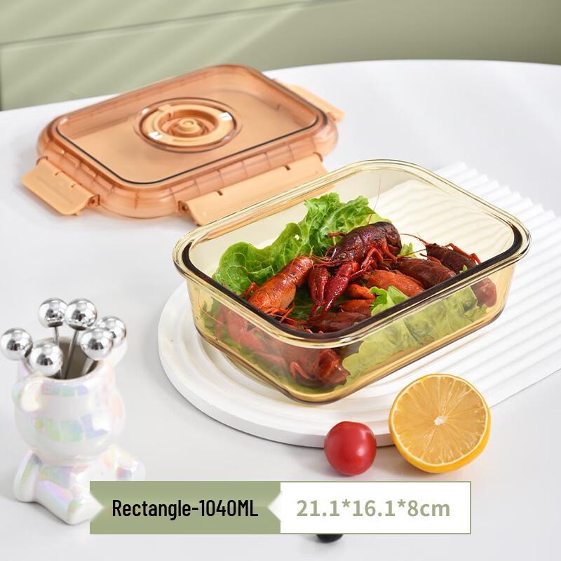Borosilicate Glass Food Storage Container