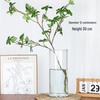 Lucky Bamboo Straight Glass Hydroponic Vase - Simple & Creative Micro Landscape Ornament