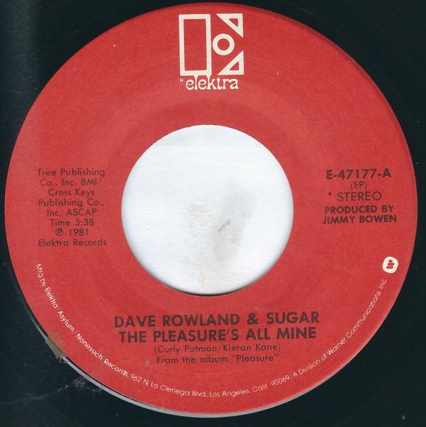 

7inch Record DAVE & SUGAR - The Pleasure s All Mine E47177 Elektra 1981 US Folk Used