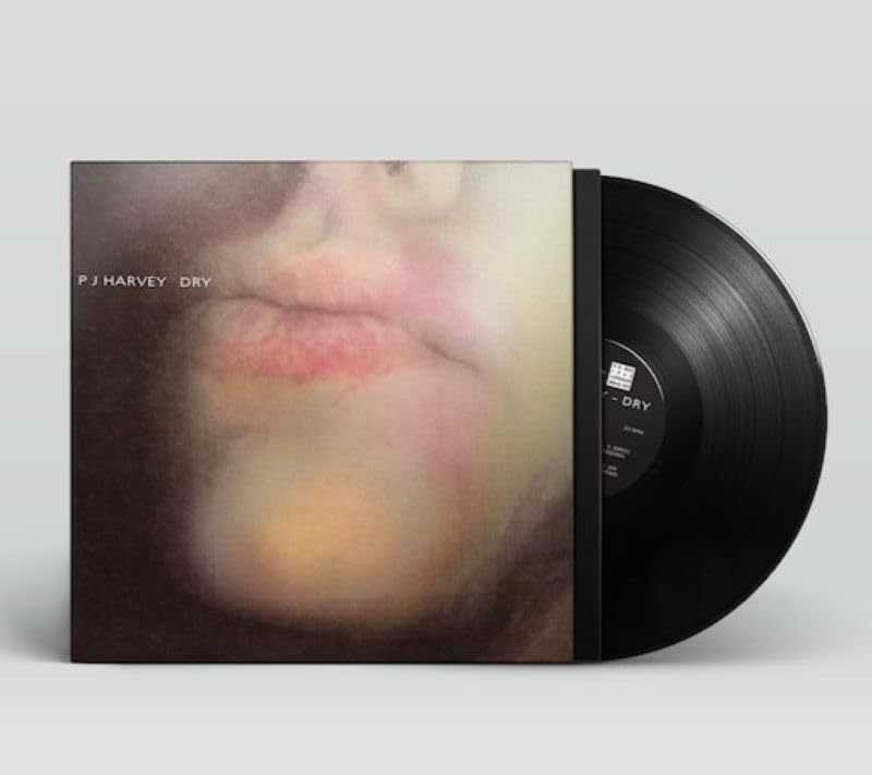 Obi japonez uscat Versuri traduse și comentarii incluse Importat [Cu / / LP] (PURE10LPJP) [Analogic]