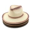 Spring And Summer Men And Women British Wind Spray Paint Jazz Straw Hat Outdoor Travel Sun Hat Czy-056