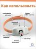 Interactive Collar Toy for Indoor Play and Exercise - Hands-Free Pet