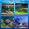 Plastic Fish Food Feeders Aquariums Feeders With Strong Suction Cups for Home And Office Aquariums