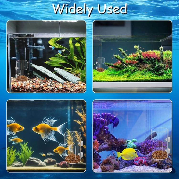 Plastic Fish Food Feeders Aquariums Feeders With Strong Suction Cups for Home And Office Aquariums