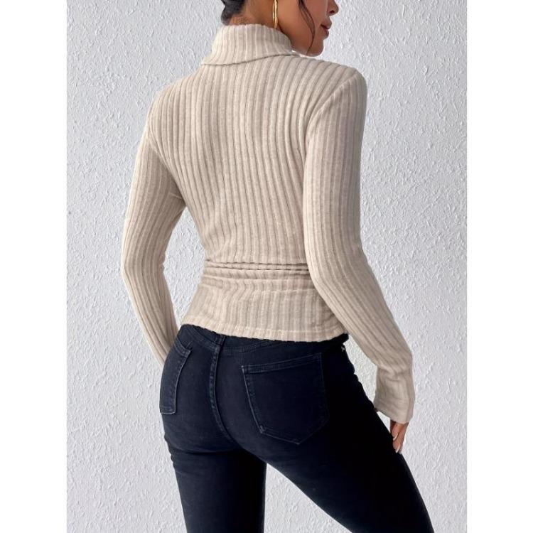 Slim Elegant High Neck Sweater for Women Long Sleeve Solid Color Winter Autumn Clothing