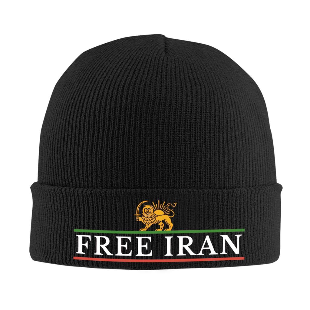 Lion and Sun of Flag Emblem Knitted Caps Women's Men's Beanie Autumn Winter Hats Acrylic  Warm Caps