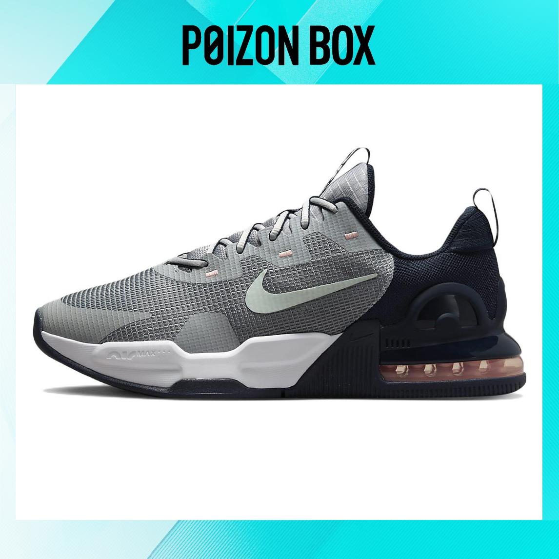 

кроссовки Male Nike Air Max Alpha Training shoes DM0829-004