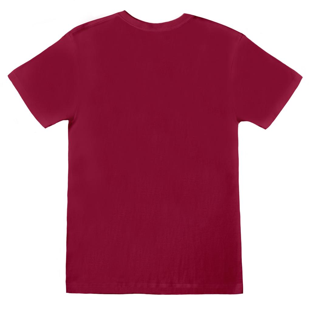 Harry Potter Mens Hogwarts Express T-Shirt