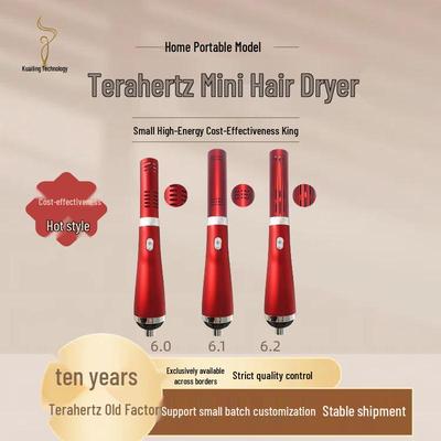 Terahertz Quantum Physiotherapy Device with Blue Light & Infrared Moxibustion for Beauty