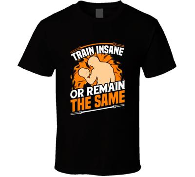 Train Insane Or Remain The Same Bodybuilding Gym Gift T-Shirt