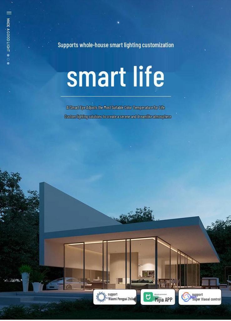 Smart Thin Surface-Mount Track Light for Living Room - No Main Light, Dimming, Adjustable Color Temperature, Magnetic Lamp